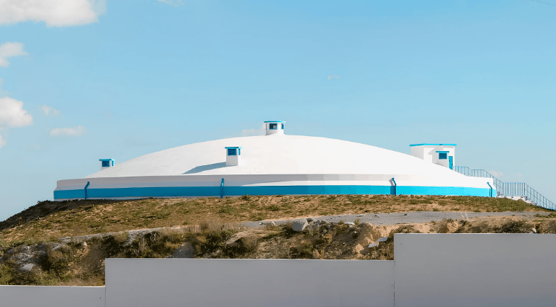Alva Plant image