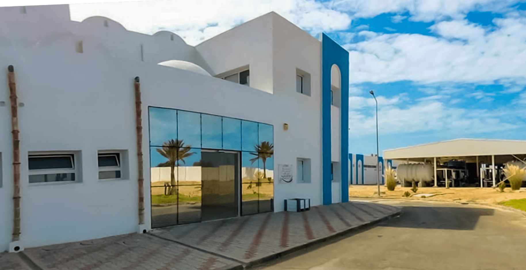 Alva Plant image